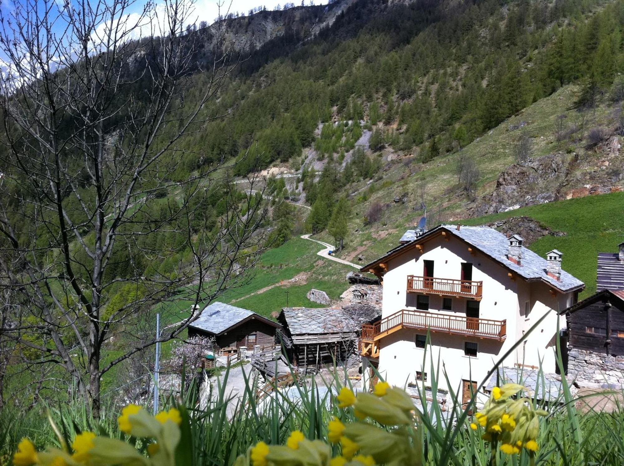 Alpe Rebelle Panzió Bionaz Kültér fotó