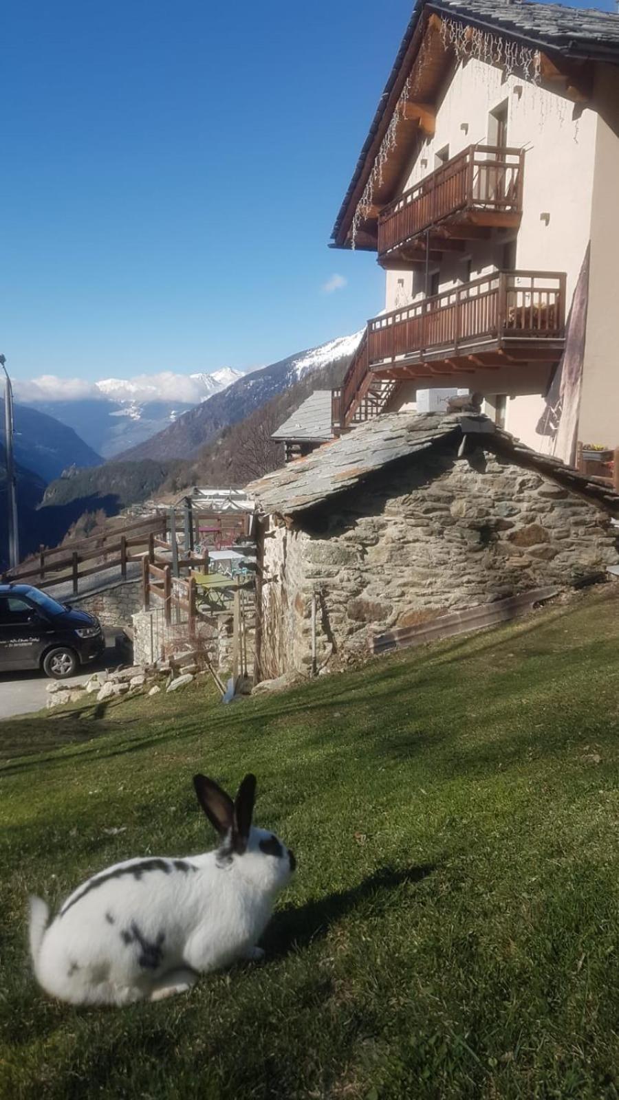 Alpe Rebelle Panzió Bionaz Kültér fotó